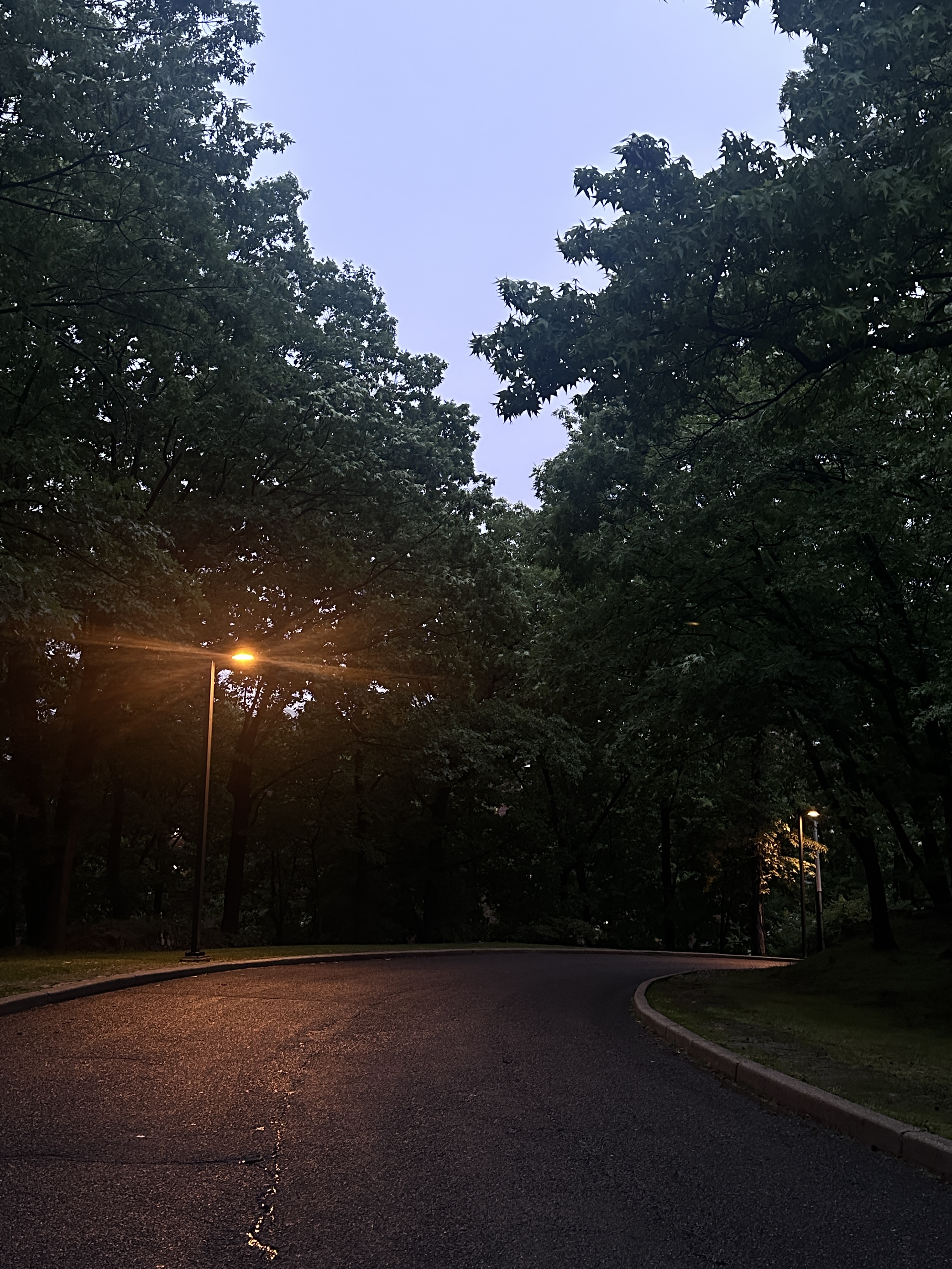 a dark turning road with an orange street lamp