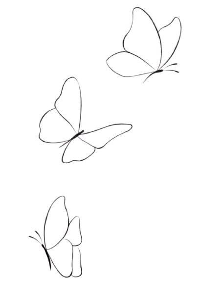 butterflies sketch